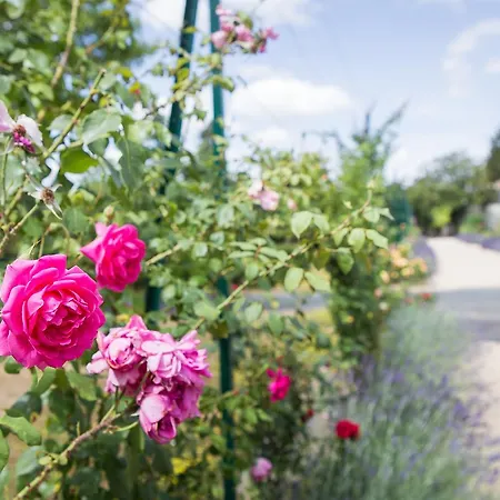 Szálloda Bon Pasteur 2*